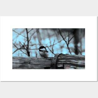 Chickadee on the fence illustration Posters and Art